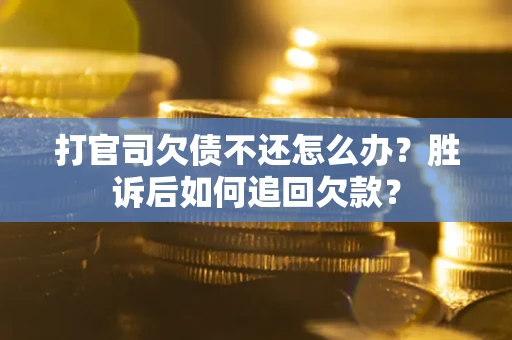 武汉打官司欠债不还怎么办？胜诉后如何追回欠款？
