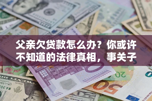 武汉父亲欠贷款怎么办？你或许不知道的法律真相，事关子女未来
