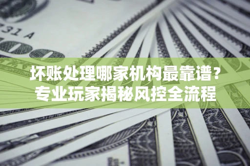 武汉坏账处理哪家机构最靠谱？专业玩家揭秘风控全流程