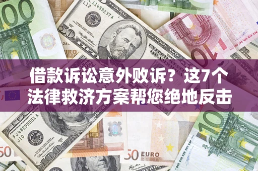 武汉借款诉讼意外败诉？这7个法律救济方案帮您绝地反击！