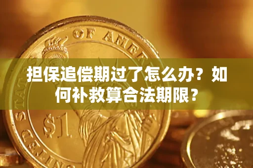 武汉担保追偿期过了怎么办？如何补救算合法期限？