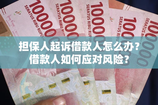 武汉担保人起诉借款人怎么办？借款人如何应对风险？