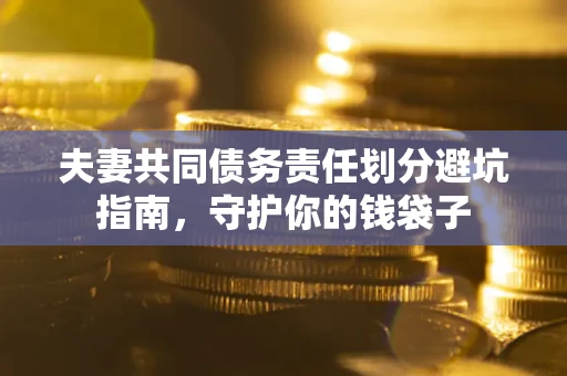 武汉夫妻共同债务责任划分避坑指南，守护你的钱袋子