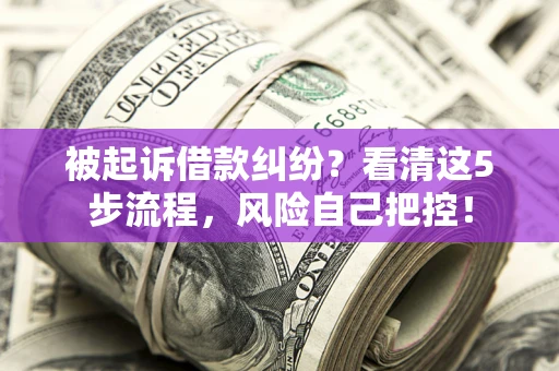 武汉被起诉借款纠纷？看清这5步流程，风险自己把控！