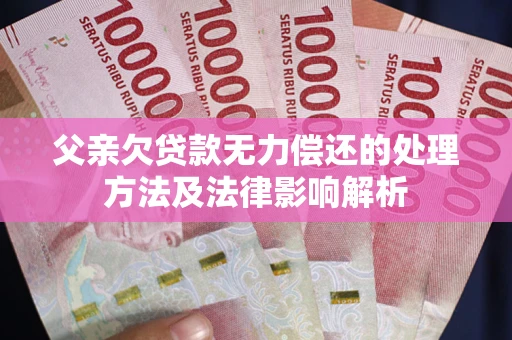 武汉父亲欠贷款无力偿还的处理方法及法律影响解析