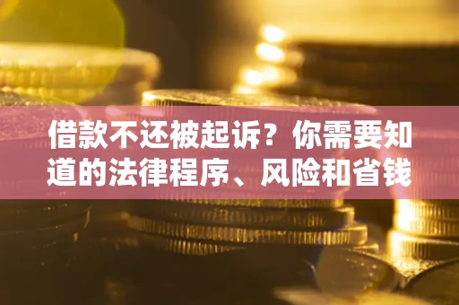武汉借款不还被起诉？你需要知道的法律程序、风险和省钱技巧