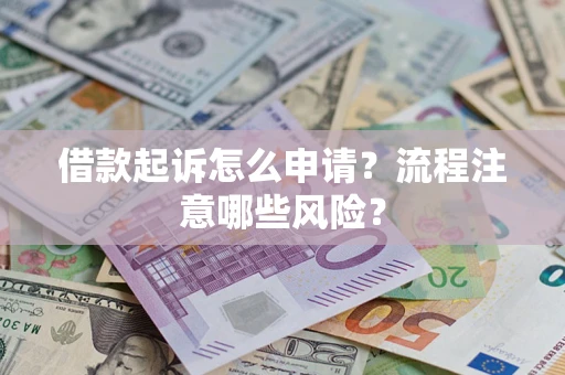 武汉借款起诉怎么申请？流程注意哪些风险？