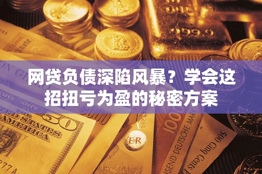 武汉网贷负债深陷风暴？学会这招扭亏为盈的秘密方案