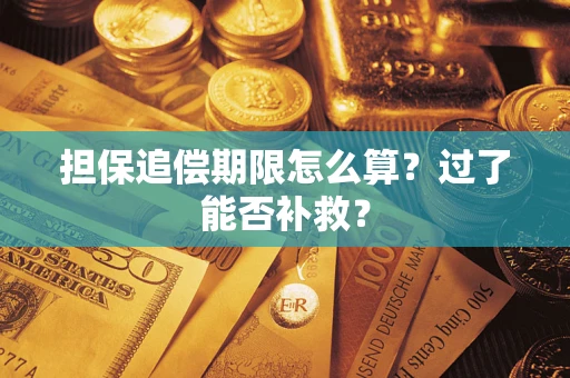 武汉担保追偿期限怎么算？过了能否补救？